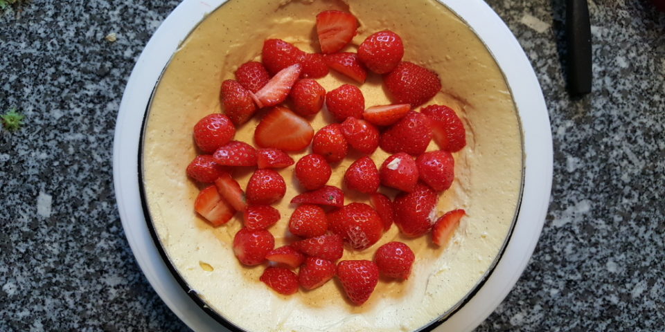 fraisier-28
